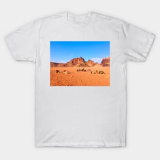 Camels in Desert T-Shirt